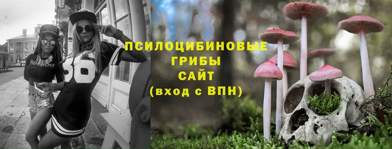 Псилоцибиновые грибы Psilocybine cubensis  Инсар 